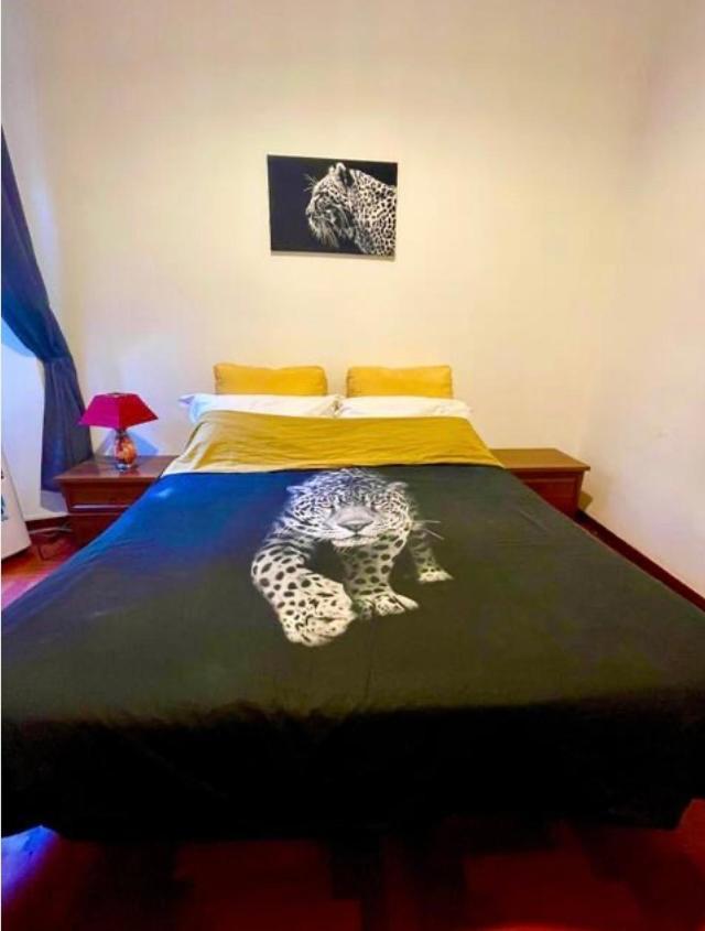Parisa House Apartment Рим Екстериор снимка